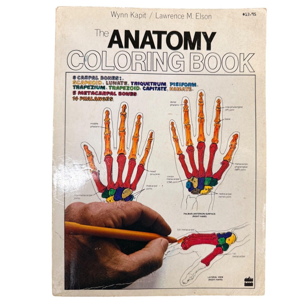 The Anatomy Coloring Book Wynn Kapit Lawrence M Elson Vintage Paperback Medical